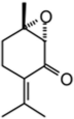 Combined Action of Piperitenone Epoxide and Antibiotics Against Clinical Isolates of Staphylococcus aureus and Escherichia coli